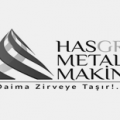 Has Metal Makina CE Belgesi Makine Emniyet Yönetmeliği Ek 4 Teknik Danışmanlık Hizmeti