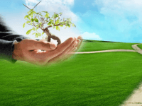 ISO 14001:2015 Çevre Yönetim Sistemi