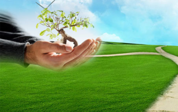 ISO 14001:2015 Çevre Yönetim Sistemi