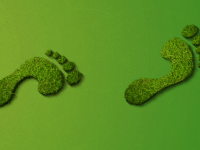 ISO 14001 Çevre Yönetim Sistemi Standardı Revize Oluyor